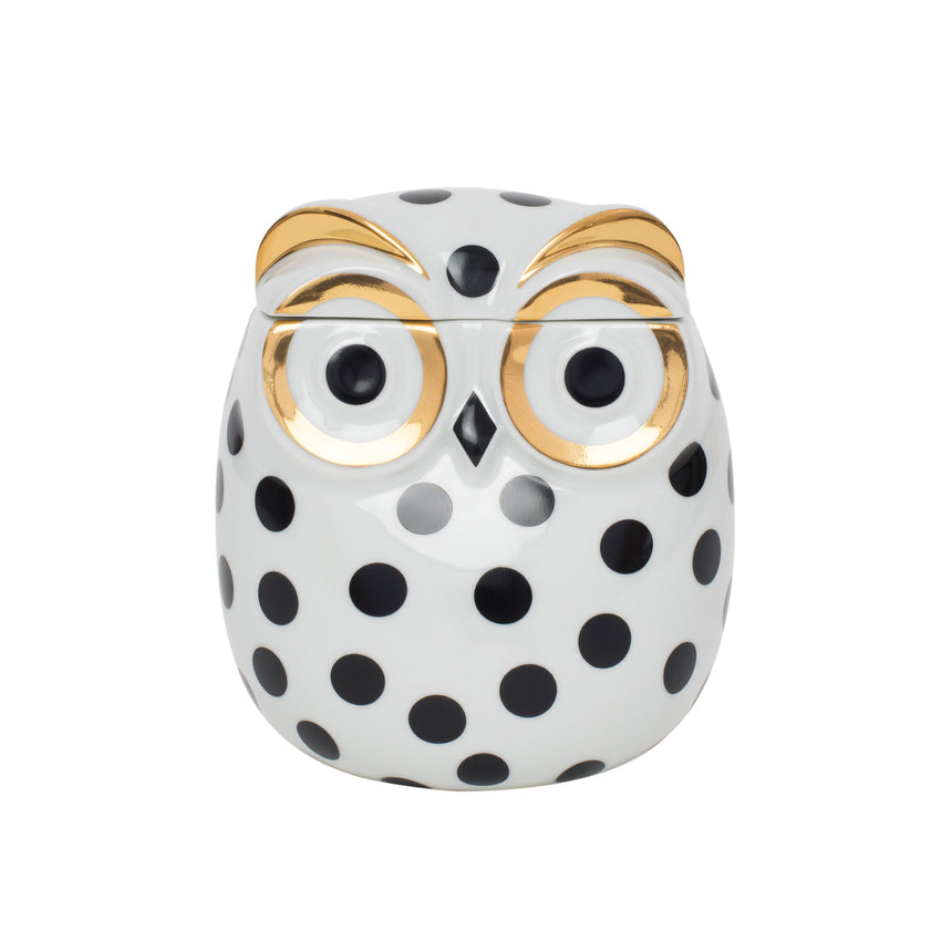 Fornasetti Owl Jar Impallinata