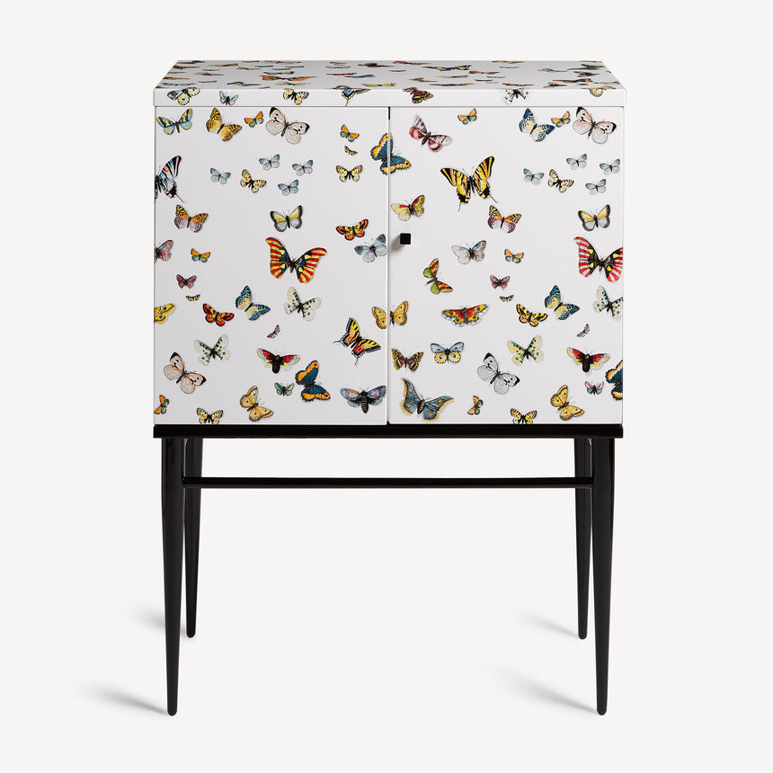 1950s Osvaldo Borsani Book Shelf